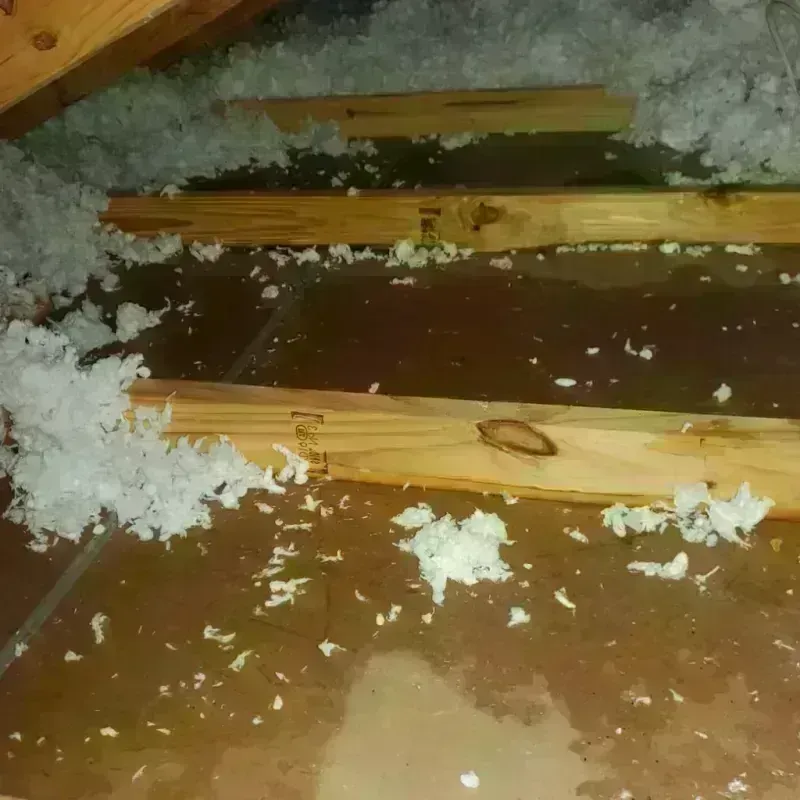 Attic Water Damage in Bedford, OH