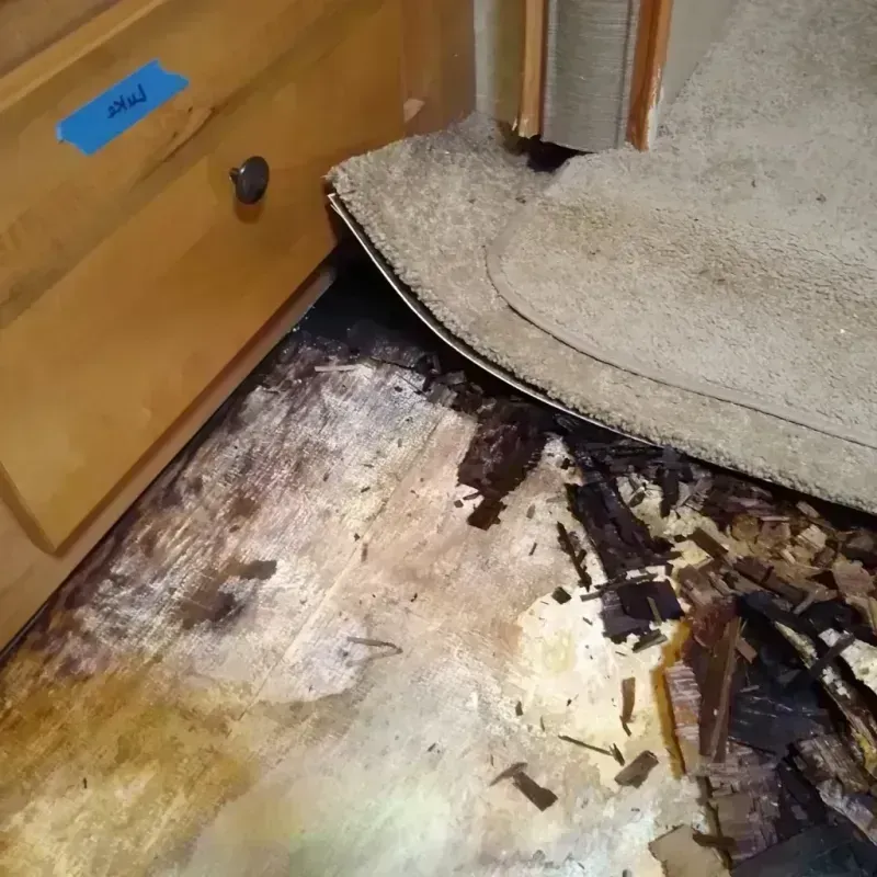 Wood Floor Water Damage in Bedford, OH